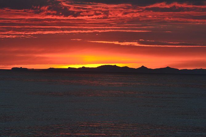 Magical Whales in the Midnight Sun | from Reykjavik - If the weather turns: what to expect when it’s not perfect