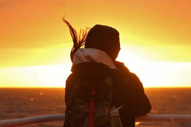 Magical Whales in the Midnight Sun | from Reykjavik - The 3-hour schedule: from multimedia intro to deck spotting