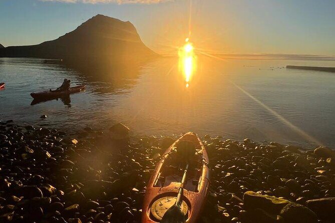 Midnight Sun Kayaking Adventure by Mt. Kirkjufell - Wildlife from the water: seals, puffins, and birds