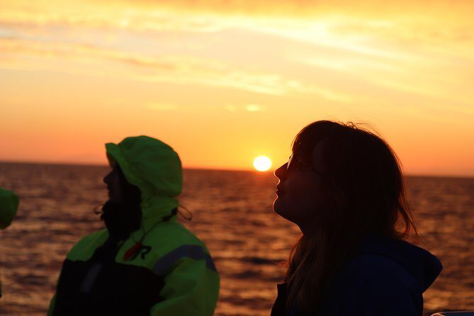 Midnight Sun Whale Watching from Reykjavik - Midnight sun + whales: why this Reykjavik sail feels different