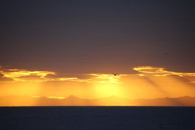 Midnight Sun Whale Watching from Reykjavik - Warmth, comfort, and the small things that save your evening