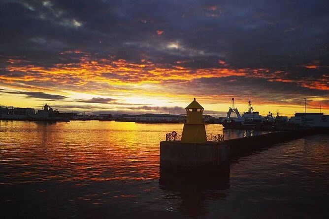 Midnight Sun Whale Watching from Reykjavik - The sightings guarantee: your Plan B is built in