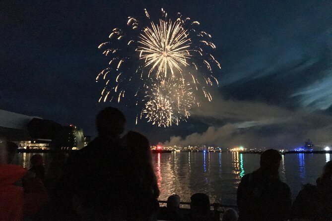 New Year's Eve Fireworks Cruise in Reykjavik - Practical tips for a smoother night out on the water