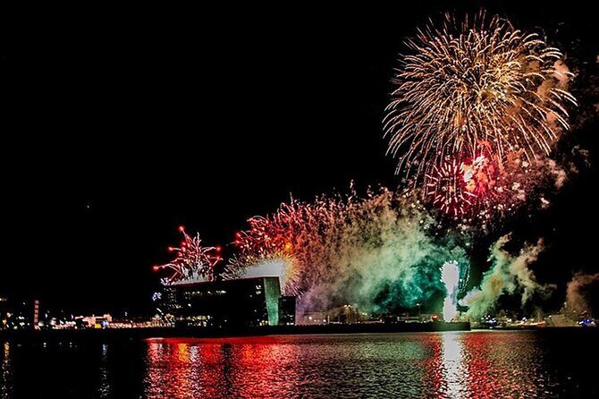 New Years Fireworks by Boat from Reykjavik - Who Should Book This Boat Cruise (And Who Might Not Need It)