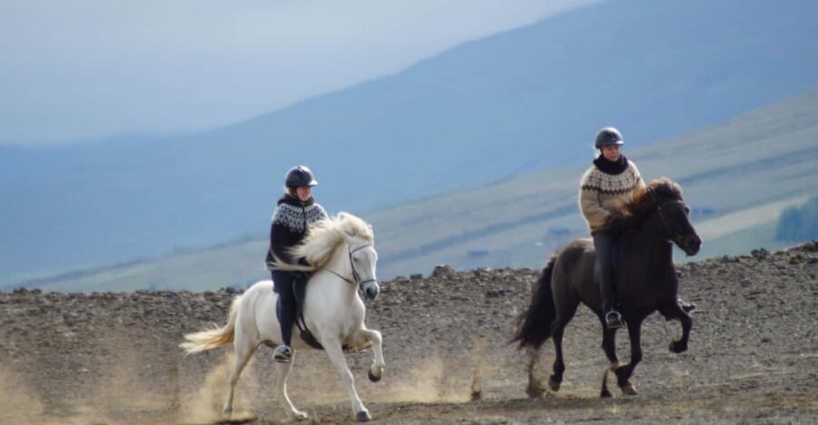 North Iceland: Horseback Riding Tour - Key highlights you’ll feel on this ride