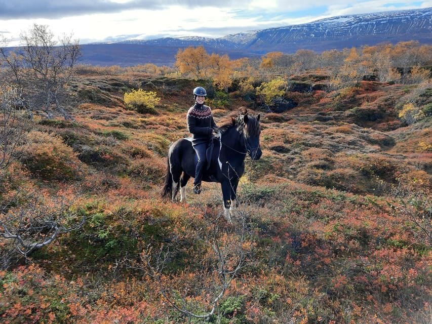 North Iceland: Horseback Riding Tour - The river segment and the small lake crossing: where your focus shifts