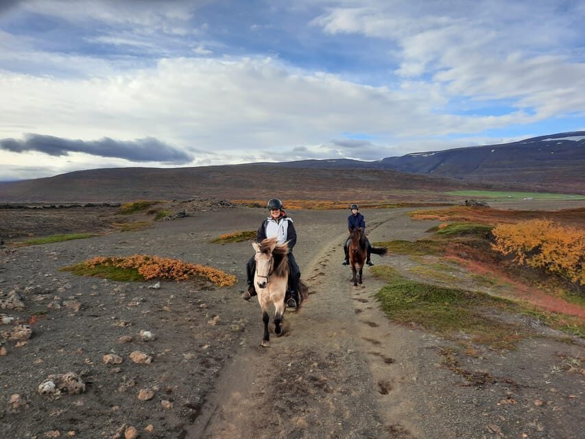 North Iceland: Horseback Riding Tour - Price and value: $141 for two hours with horses, gear, and an experienced guide