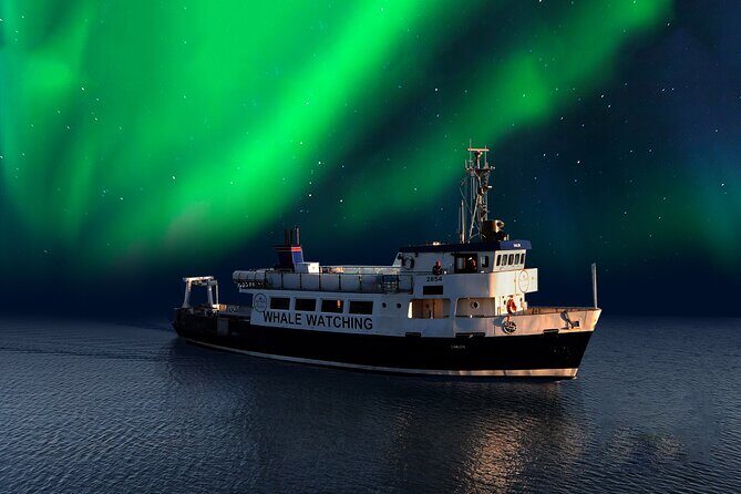 Northern Lights Boat Cruise from Reykjavik - Faxaflói Bay wildlife stop: minke, humpbacks, and the sea-life bonus