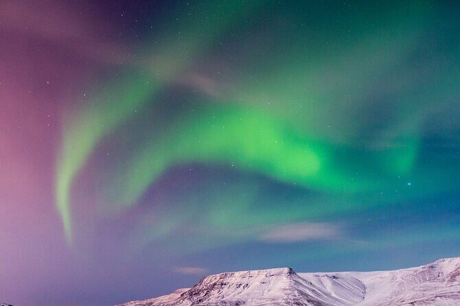 Northern Lights Boat Cruise from Reykjavik - Price and value: is $78 worth it compared to bus tours?