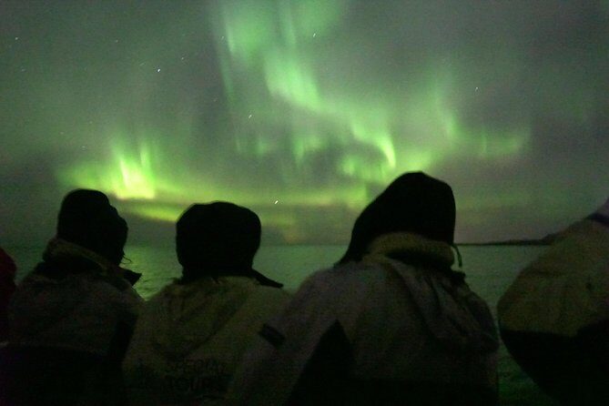 Northern Lights by Boat with a Backup Plan from Reykjavik - If you don’t see the lights: the whales of Iceland backup that saves your evening
