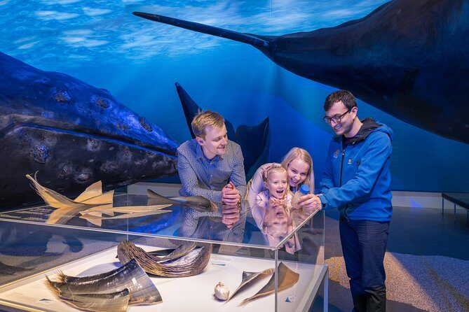 Northern Lights by Boat with a Backup Plan from Reykjavik - Value math: what you actually get for $83.88