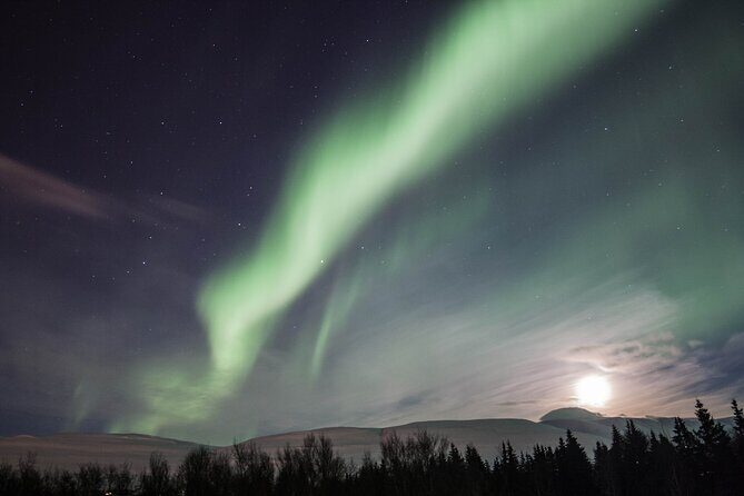 Northern Lights Classic MiniBus Tour from Akureyri - Key things that make this tour worth your time