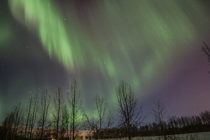 Northern Lights Classic MiniBus Tour from Akureyri - Who should book this Northern Lights Classic MiniBus Tour