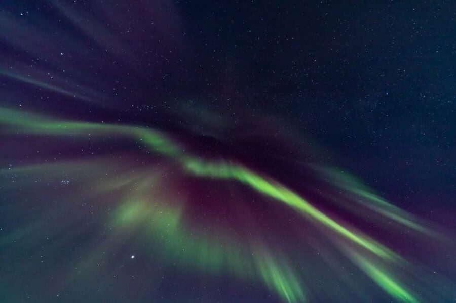 Northern Lights in Mini Bus, Photos, Hot Cocoa and Pastries - Price and value: what you are paying for at $124