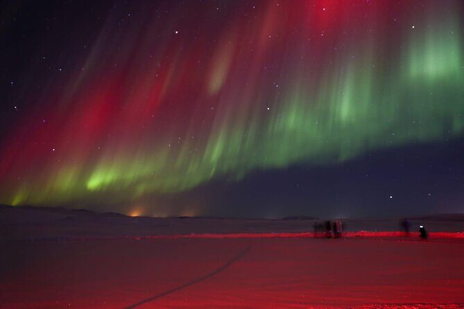 Northern Lights Private Tour from Reykjavik - Who Should Book This Tour (and Who Might Want a Different Style)