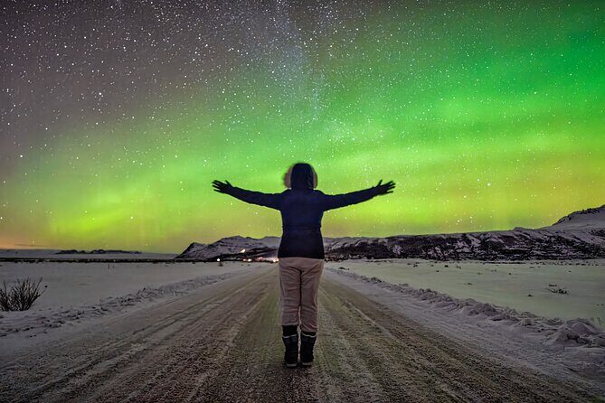 Northern Lights Small Group Tour from Reykjavik - Comfort on a Windy Night: Hot Drinks and Short Waiting Windows