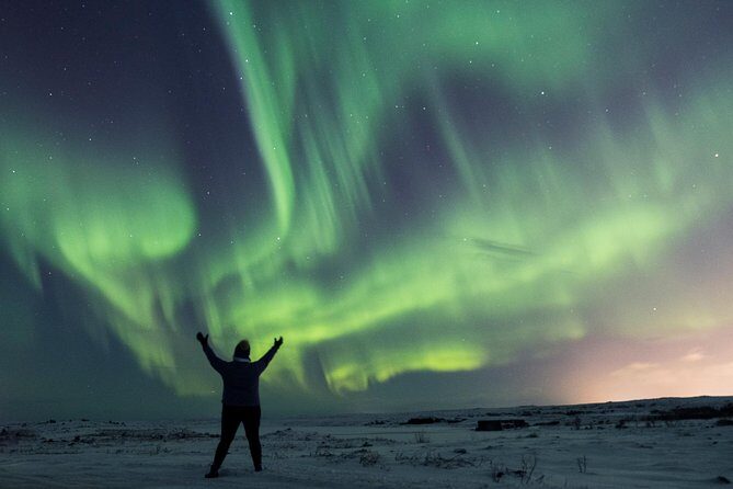 Northern Lights Small Group Tour from Reykjavik with Free Photos - Pickup Timing in Reykjavik: Don’t Lose the Start of the Night