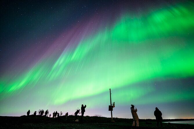 Northern Lights Small Group Tour from Reykjavik - Price and What You Actually Get for $117.29