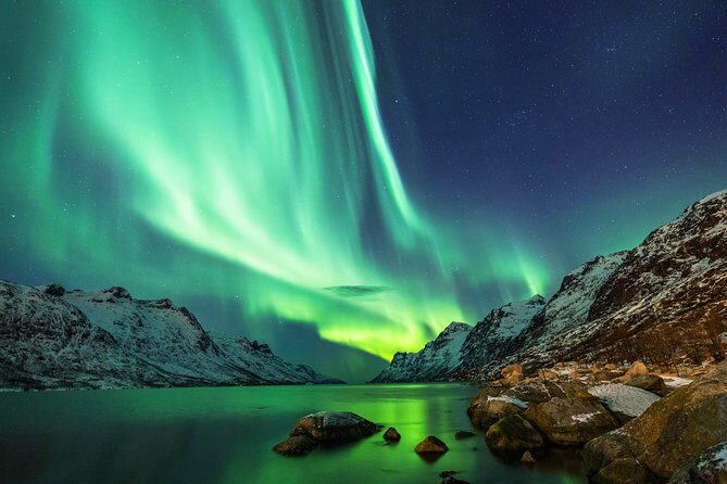 Northern Lights Tour from Reykjavik with Lifetime Guarantee - Your guide’s job: finding the lights and explaining what you’re seeing
