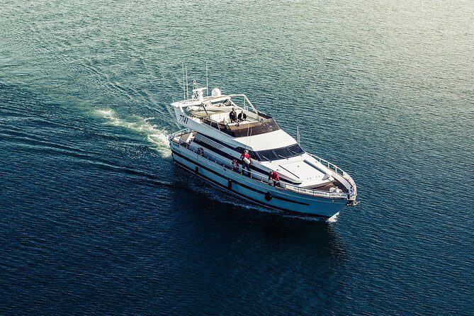 Northern Lights Yacht Cruise - Weather Risk, Free Repeats, and Getting Real Value at About $100