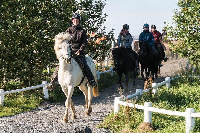 One-Hour Horseback Riding Tour in the Icelandic Countryside - Where You Start: Hótel Eldhestar (and Why That Matters)