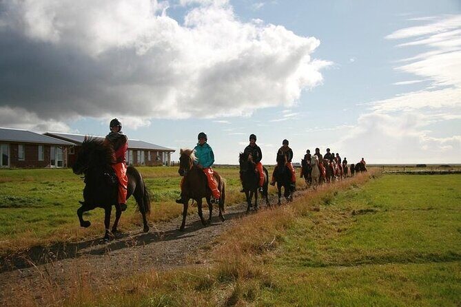 One-Hour Horseback Riding Tour in the Icelandic Countryside - Timing and Group Size: The Hidden Advantage of 15 People Max