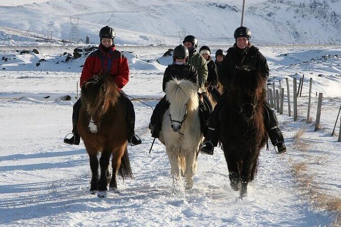 One-Hour Horseback Riding Tour in the Icelandic Countryside - Price and Value: Is $94.95 Worth It?