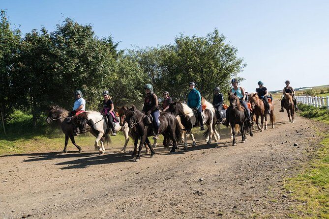 One-Hour Horseback Riding Tour in the Icelandic Countryside - The Ride Itself: What a “Short Beginner Tour” Feels Like