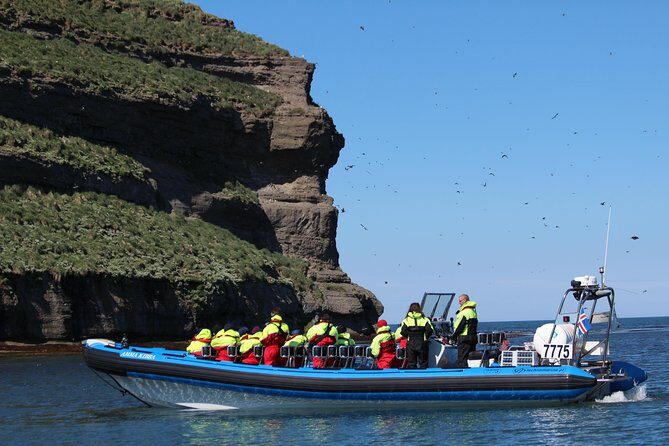 Original Big Whale Safari & Puffins Speedboat Tour from Húsavík - Puffin Island vs. Whale Watching: How to Set Your Expectations
