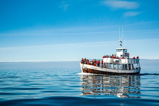 Original Carbon Neutral Whale Watching Tour from Húsavík - When plans shift: electric-boat maintenance and rough weather