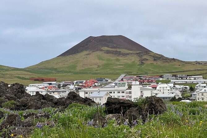 PRIVATE 2-Hours Tour - Westman Islands with a local in a BMW X5 - Cruise-ship timing and car-less visitors: getting the most out of short days
