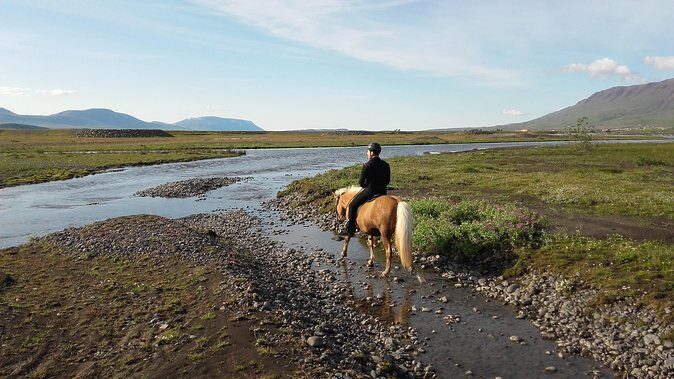 Private 3-Hour Horseback Riding Tour - Quick reasons this private Akureyri ride is worth your time