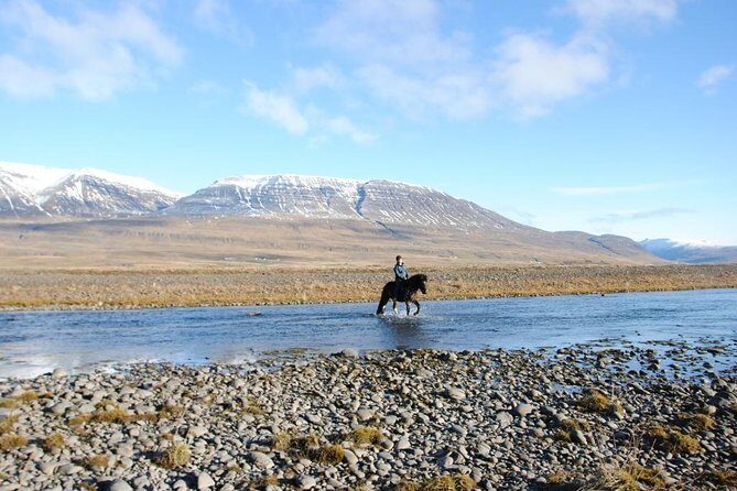 Private 3-Hour Horseback Riding Tour - Entering The Akureyri countryside from Hestasport