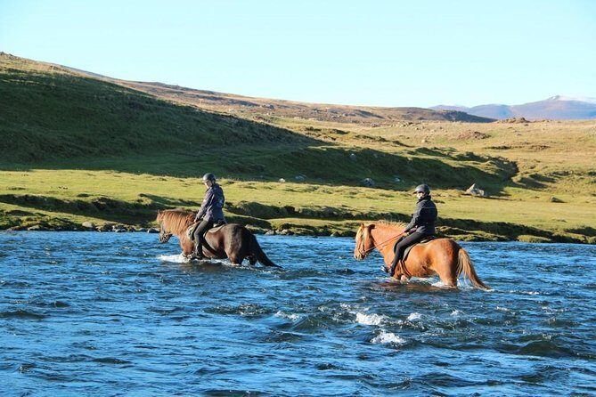 Private 3-Hour Horseback Riding Tour - Small group realities: private doesn’t always mean one guide
