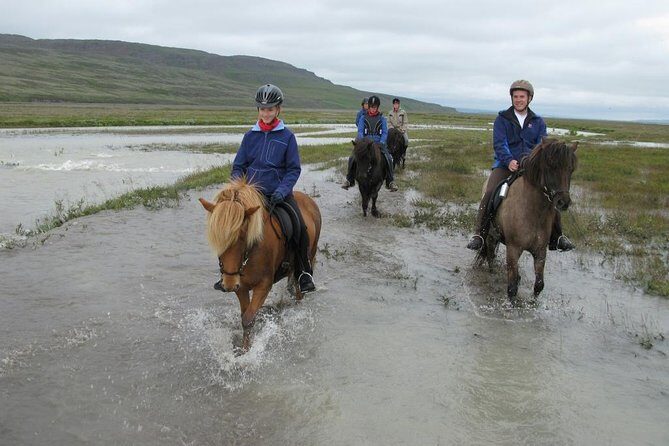 Private 3-Hour Horseback Riding Tour - Weather in Akureyri: how to dress for all conditions