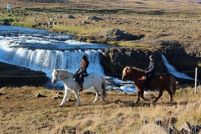 Private 3-Hour Horseback Riding Tour - Price and value: what you’re actually paying for