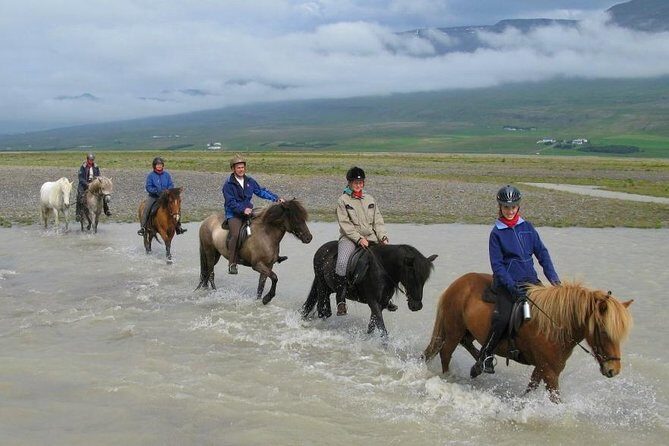 Private 3-Hour Horseback Riding Tour - Getting your horse right: gear, experience level, and safety