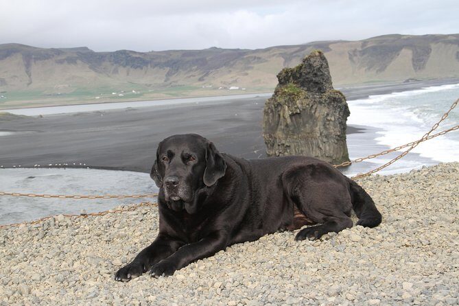 Private Day Trip to the Icelandic South Coast from Reykjavik - Price and What You Actually Get for $450