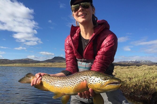 Private Fishing Tour from Reykjavik - Arctic Char and Brown Trout - Price and value: is $960 per person “worth it”?