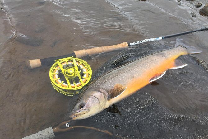 Private Fishing Tour from Reykjavik - Arctic Char and Brown Trout - Weather, seasons, and what to do if the day feels slow