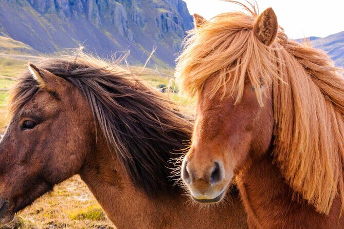 Private Golden Circle tour in a premium class car. - Gullfoss and Geysir: the big power moments and the steam rhythm