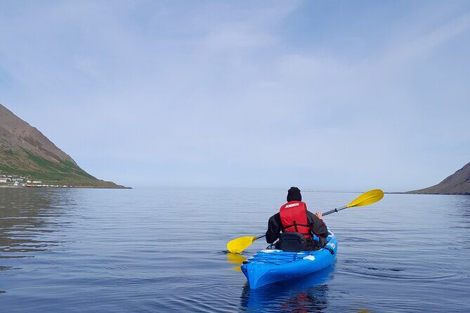 Private: Guided kayak tour in Siglufjörður / Siglufjordur. - Key Highlights You’ll Feel Right Away