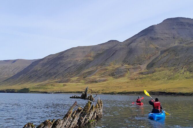 Private: Guided kayak tour in Siglufjörður / Siglufjordur. - Kayaking Siglufjörður: Why This Fjord Tour Feels Worth It