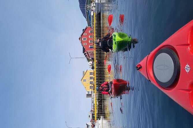 Private: Guided kayak tour in Siglufjörður / Siglufjordur. - Fjallabyggð from the Water: Local Nature, Culture, and History