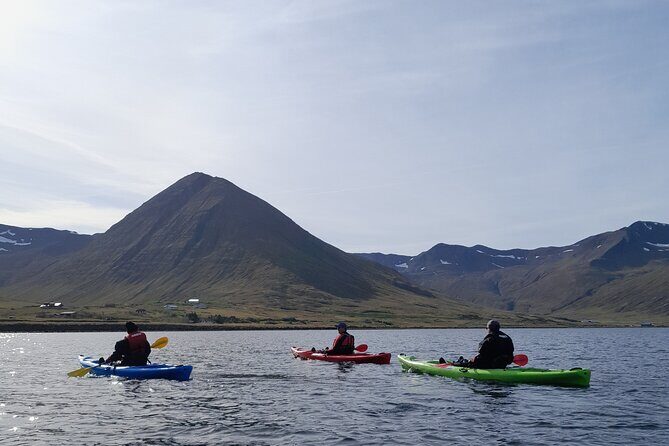 Private: Guided kayak tour in Siglufjörður / Siglufjordur. - What to Bring (and What’s Included): Staying Warm, Dry, and Unbothered