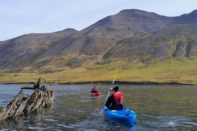 Private: Guided kayak tour in Siglufjörður / Siglufjordur. - Getting Suit Up Right: Gear, Safety, and Skill Practice