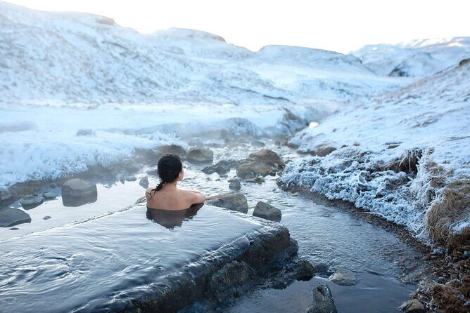 Private Half Day Iceland Tour with Guide and Vehicle - Price and what your $865 actually buys (up to 5 people)