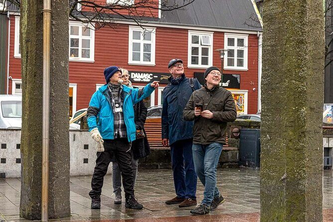 Private Icelandic Viking Age Walking Tour - Why a Private Viking-Age Walk Works in Reykjavik