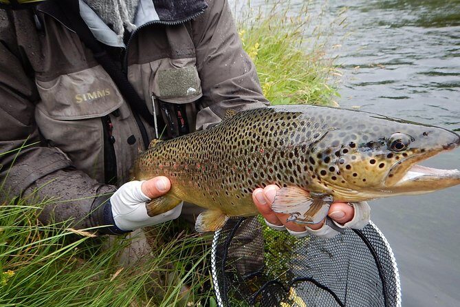 Private Lake and River Fishing Tour from Reykjavik - Coaching That Works for Beginners (Including Fly-Fishing Instruction)