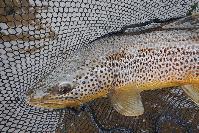 Private Lake and River Fishing Tour from Reykjavik - What a Private Day Feels Like on the River